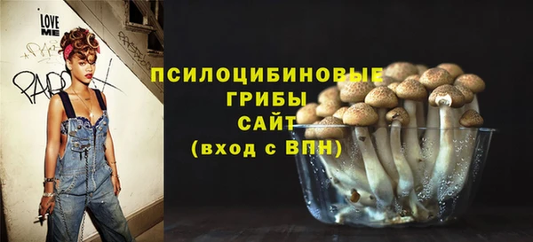 не бодяженный Ладушкин