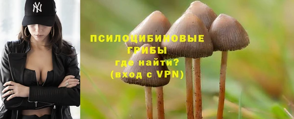 не бодяженный Ладушкин
