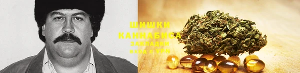 не бодяженный Ладушкин