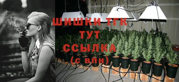 не бодяженный Ладушкин