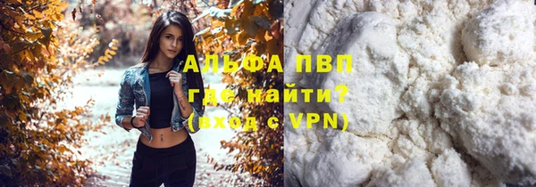 не бодяженный Ладушкин