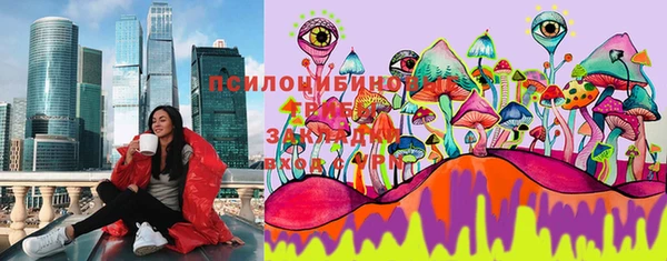 гашик Лагань