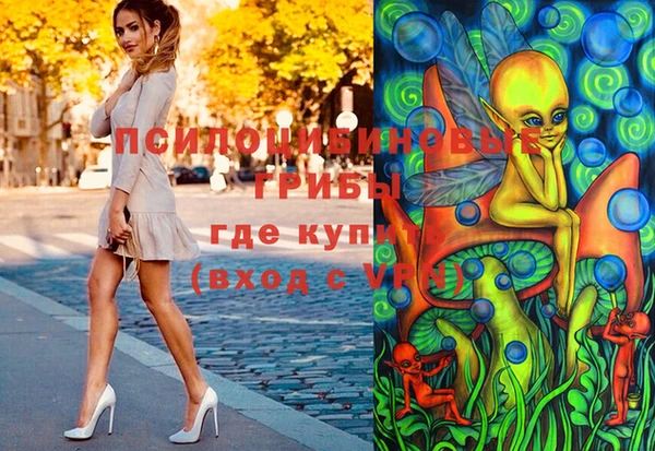 гашик Лагань