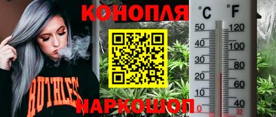 прущие крисы Абакан