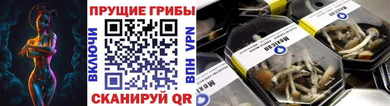 как найти закладки  Менделеевск  Псилоцибиновые грибы мухоморы 