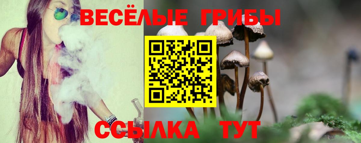Галлюциногенные грибы GOLDEN TEACHER Менделеевск